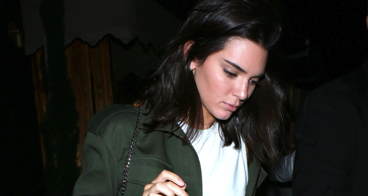 Is Kendall Jenner Dating Harry Styles Again