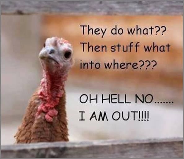Funny Turkey Season Meme