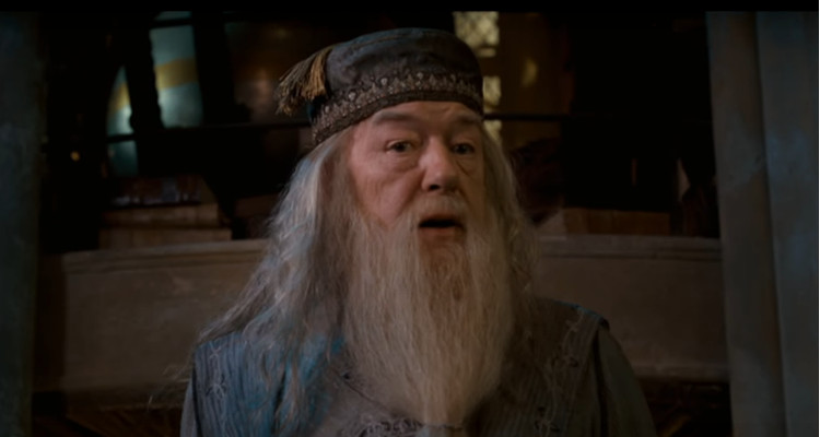 Is Albus Dumbledore Gay