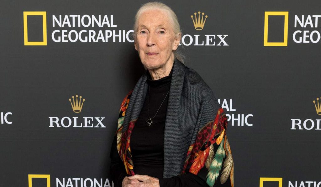 Jane Goodall's husband