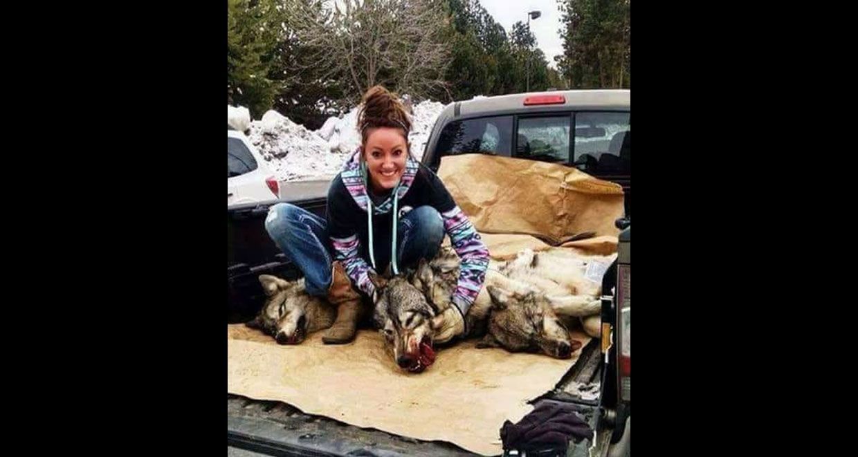 Natalie Palmer Dead Wolves.png