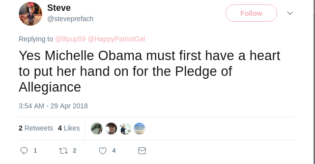 Steve's Tweet on Michelle Obama