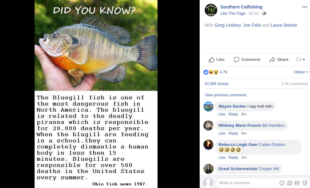 Bluegill Fish FB Post