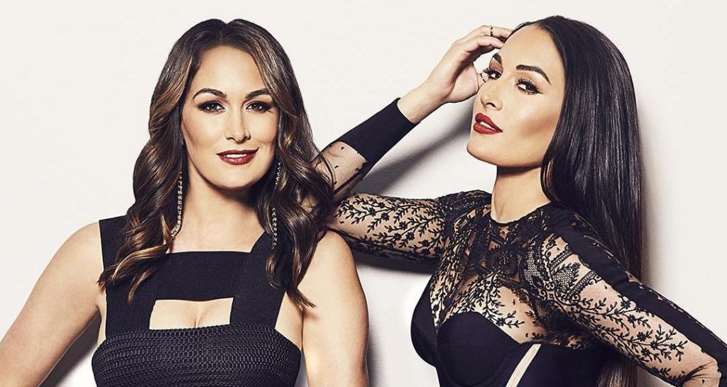 Pro-wrestling twins, Nikki and Brie Bella