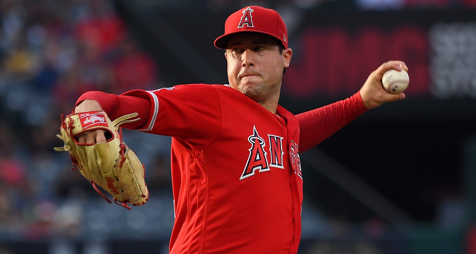 Late Tyler Skaggs' Wife, Carli Skaggs Wiki, Age, Family And Facts To Know