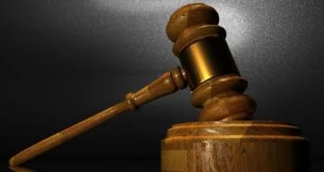 Rosemary Scapicchio Wiki: Facts about Sean Ellis’ Lawyer