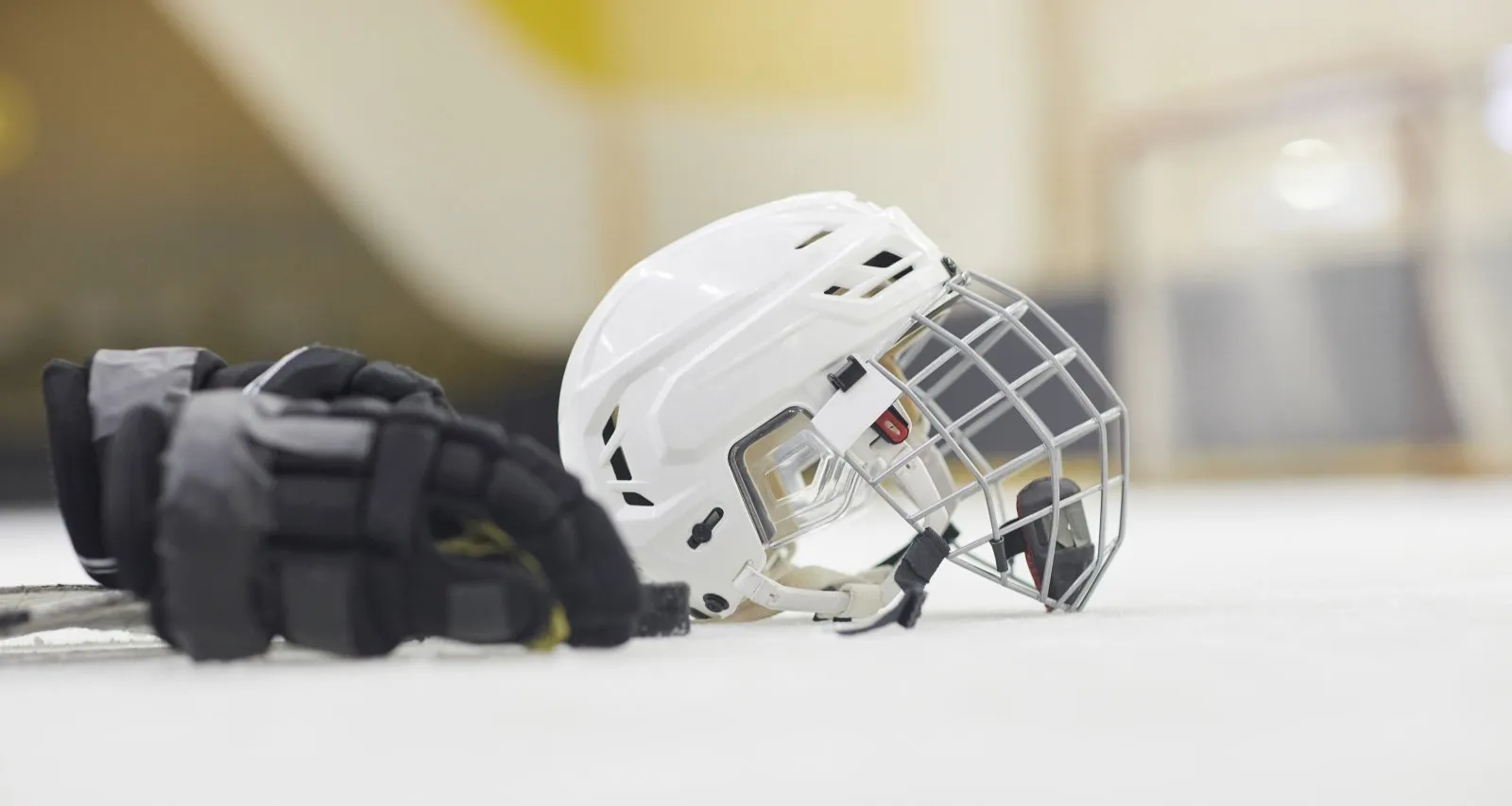 Meet Wolverines Forward Adam Fantilli’s Girlfriend, Molly Heaton