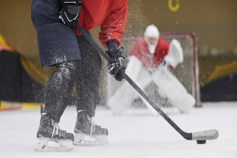 Nashville Predators